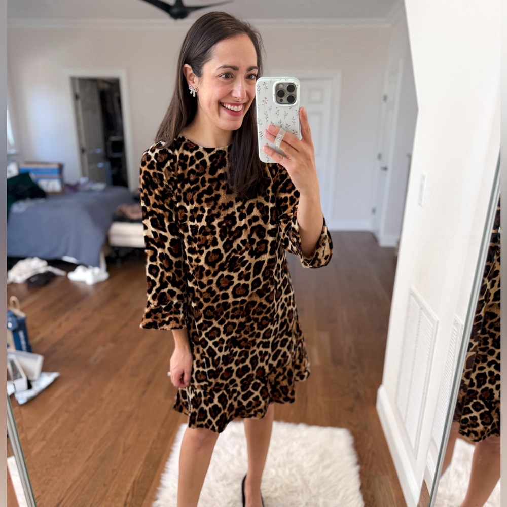 Loft leopard velvet dress